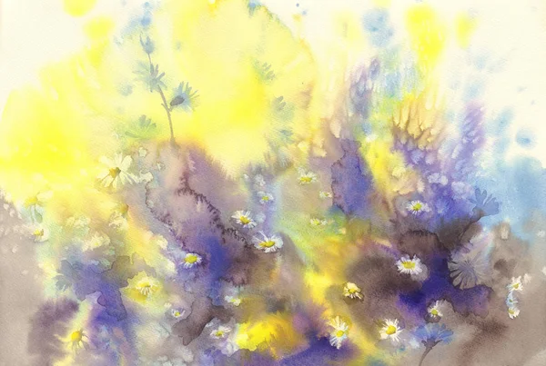 Camomile watercolor background — Stock Photo, Image
