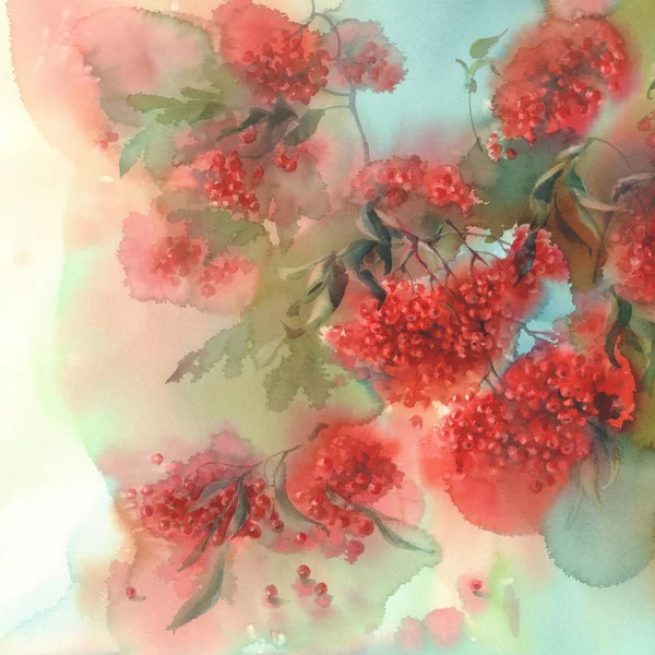 Üvez meyveleri ve suluboya arka plan bırakır