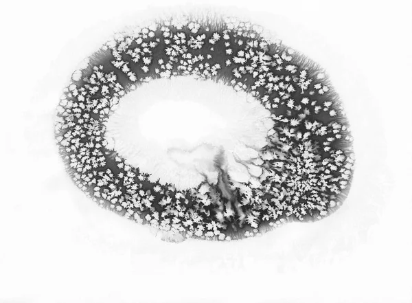 Czarno-biały zima ramki akwarela — Zdjęcie stockowe