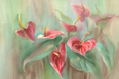 Anthurium. Suluboya el illüstrasyon çizimi