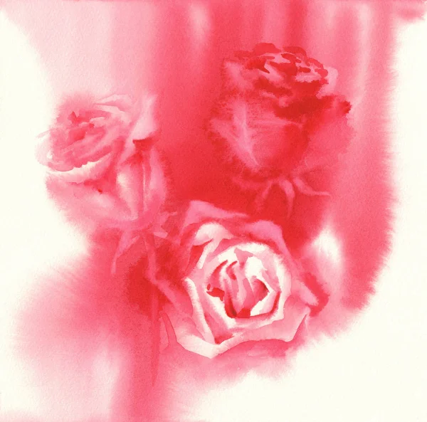 赤いバラ白い背景の水彩画 — ストック写真