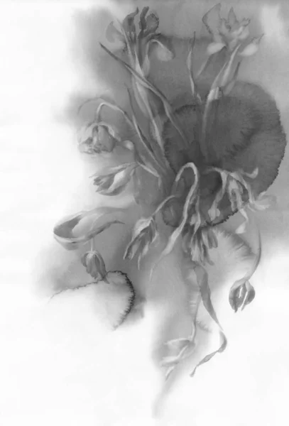 Flores secas en fondo gris acuarela — Foto de Stock