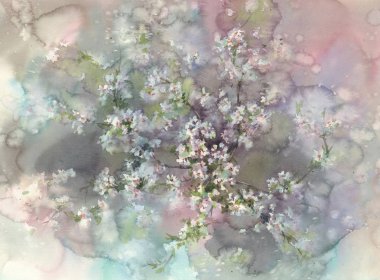 Sakura çiçeği suluboya arka plan