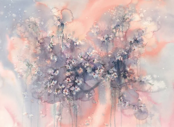 Fleur de sakura dans le fond de l'aquarelle pluie — Photo