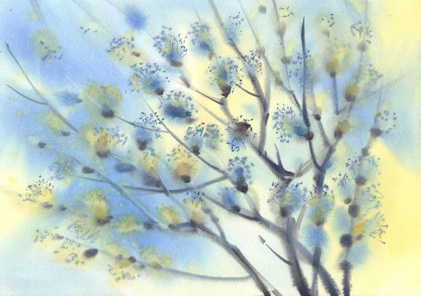 Pussy-willow twigs in the sky watercolor background — Stock Photo, Image