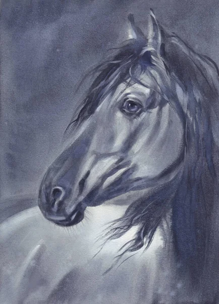 Egy ló portré éjjel akvarellfestés — Stock Fotó