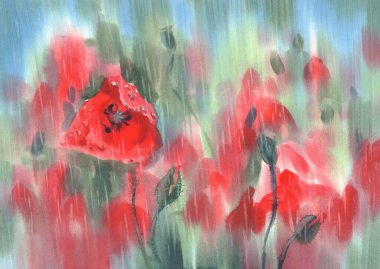 yağmur suluboya arka planda kırmızı haşhaş