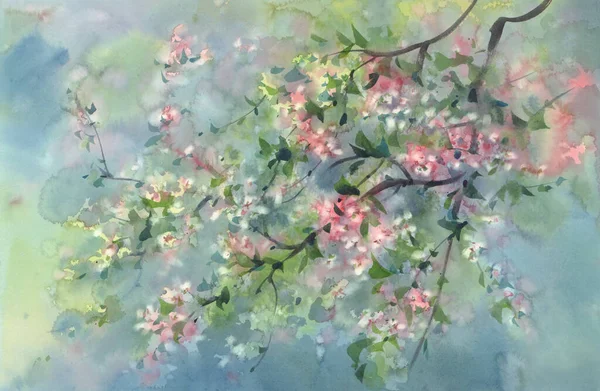 Fioritura rami d'albero in primavera acquerello sfondo — Foto Stock