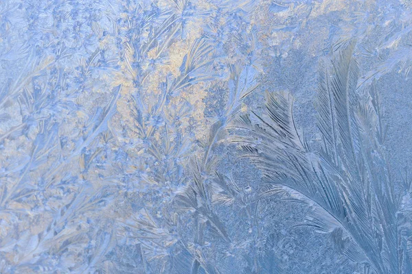 Tapeten Frost auf dem Glas — Stockfoto