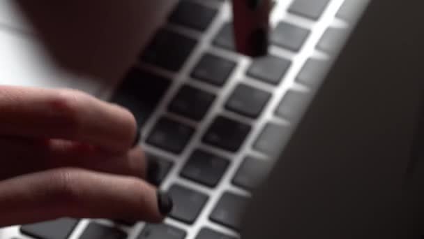 Junge Frau tippt auf einer Laptop-Tastatur — Stockvideo