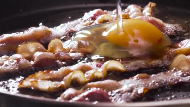 Video of egg being dropped on fried bacon — Stock Video