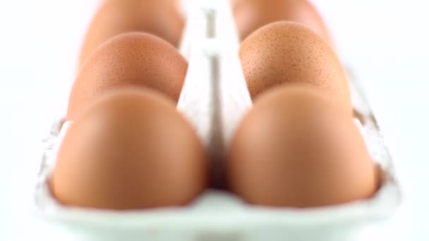 Huevos con cáscara marrón aislados en blanco — Vídeos de Stock