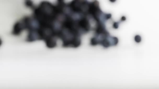 蓝莓莓果卷对照相机 — 图库视频影像