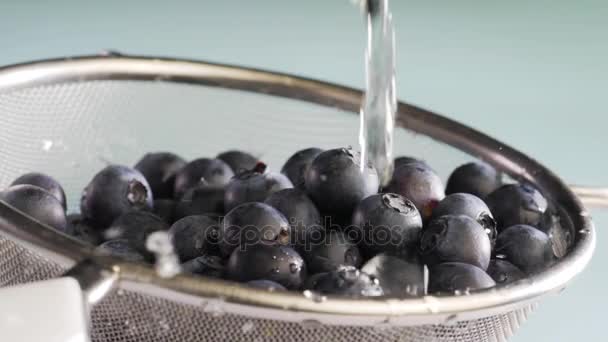 Flujos de agua en arándanos — Vídeos de Stock