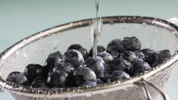 Flujos de agua en arándanos — Vídeos de Stock