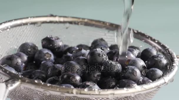 Flujos de agua en arándanos — Vídeos de Stock