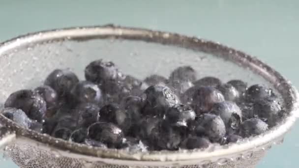 蓝莓水流量 — 图库视频影像