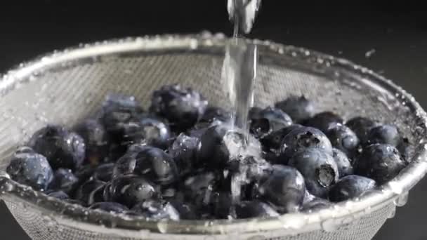 Water flows on blueberry — Stock Video
