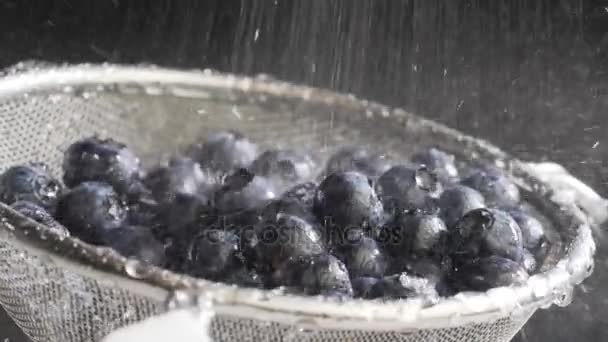 Water flows on blueberry — Stock Video