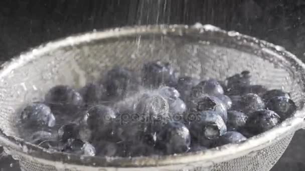 Water flows on blueberry — Stock Video