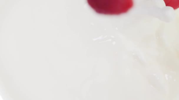 Raspberry falling into milk — Stock Video