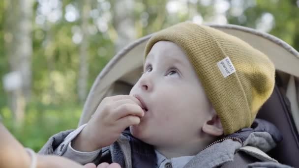 Мальчик ест ягоды — стоковое видео