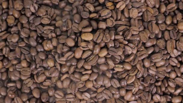 Kacang offee berputar sambil memanggang. Asap berasal dari biji kopi . — Stok Video
