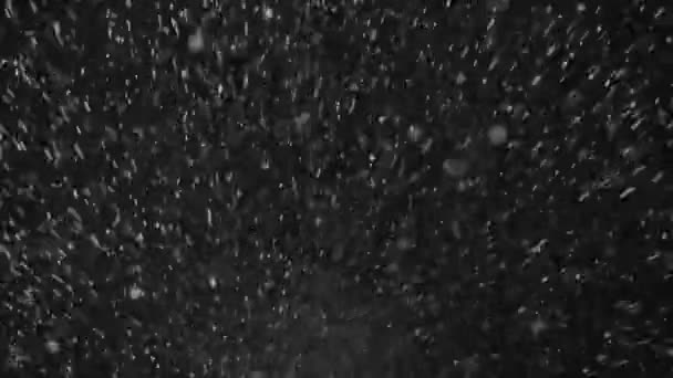 Vatten droppar på den svarta bakgrunden — Stockvideo