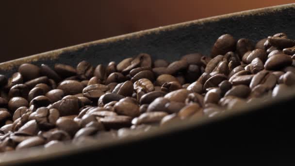 咖啡豆在平底锅上旋转 — 图库视频影像