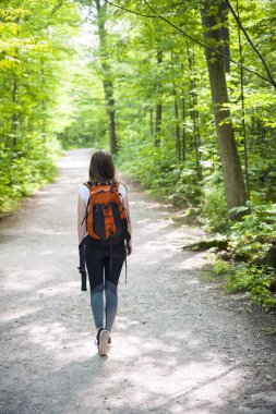 Güneşli ormandaki uzun yürüyüşe çıkan kimse
