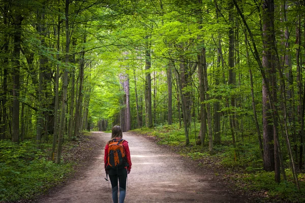 Escursionista sul sentiero forestale — Foto Stock