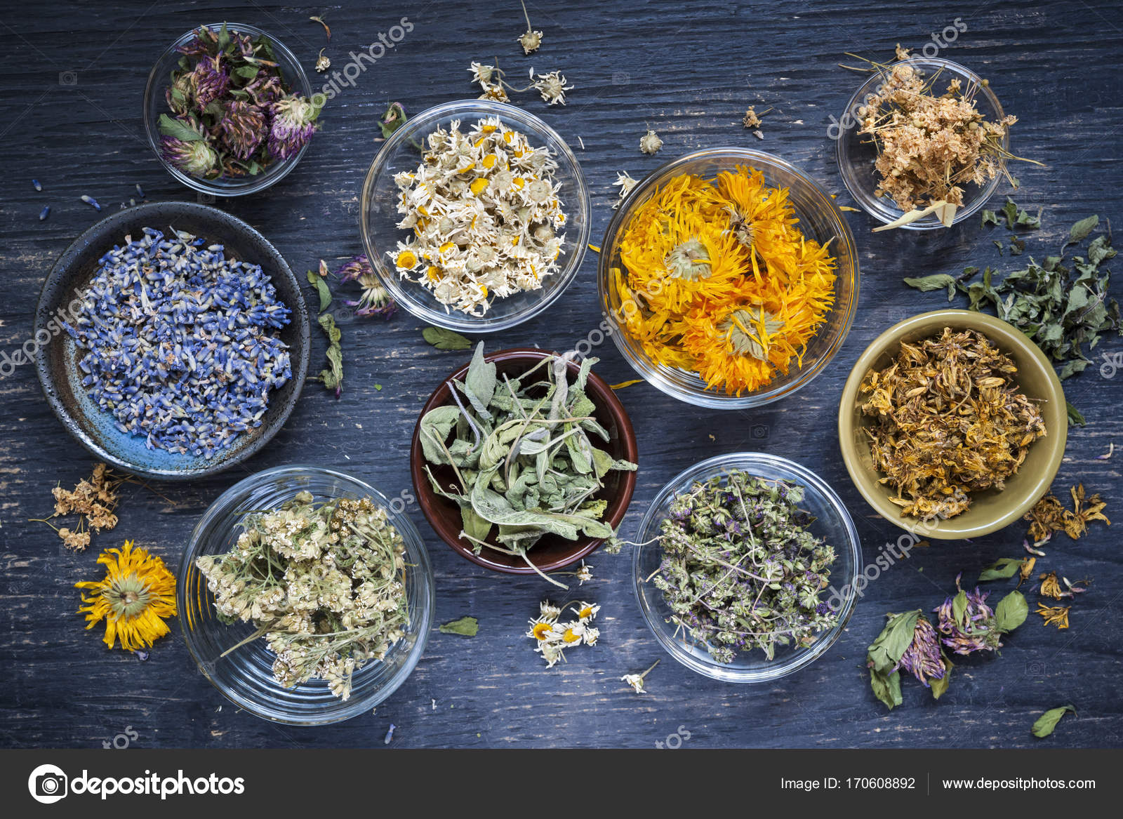 Сушеные лекарственные растения. Травами называют лекарственное растительное сырье представляющее собой. Анри леклерк фитотерапия. Травами называют лекарственное растительное сырье представляющее собой. Сбор лекарственных растений.