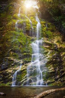 Waterfall La Chute cascading over green moss  clipart
