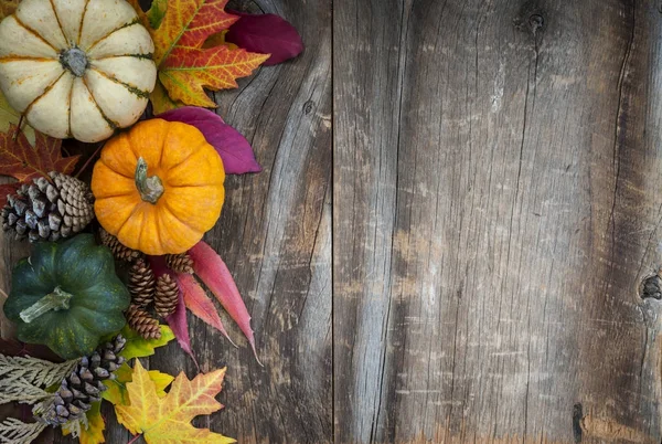 Hösten bakgrund med pumpor — Stockfoto