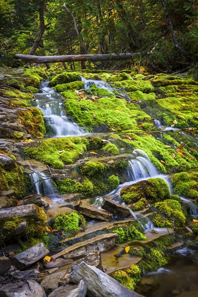 Cachoeira em cascata sobre musgo verde — Fotografia de Stock