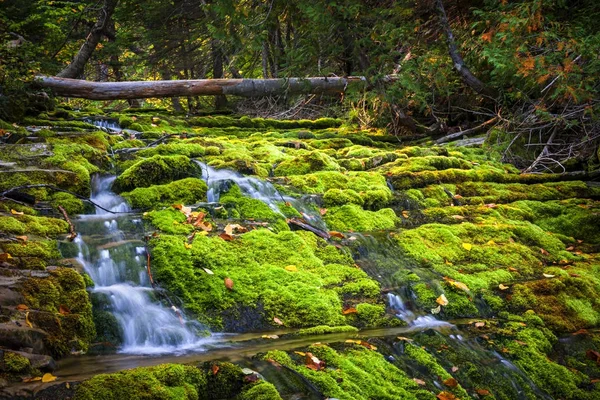 Waterval over mossy rotsen — Stockfoto