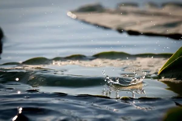 Gota de água caindo na lagoa — Fotografia de Stock