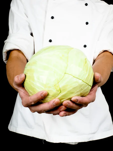 Επαγγελματίας σεφ κρατώντας ένα ολόκληρο το κεφάλι του λάχανου προς — Φωτογραφία Αρχείου