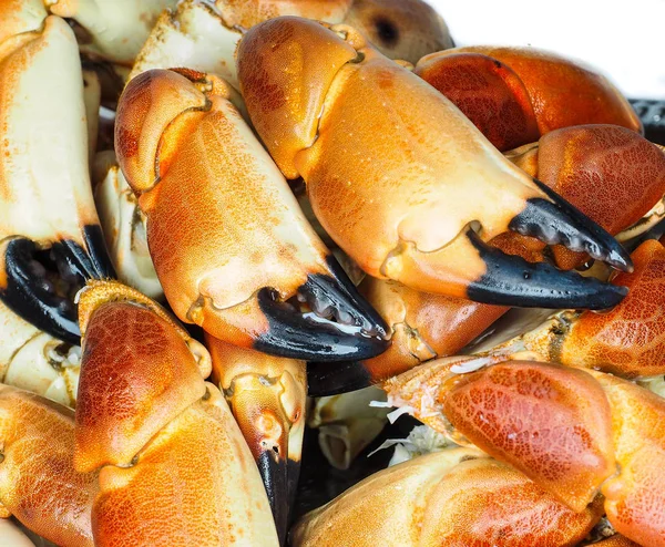 Pile of orange boiled with black tip, crab claws, at closeup — Stock Photo, Image