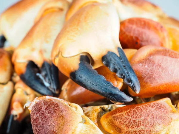 Hromadu oranžové vařené s černým hrotem, krabích klepet, v detailním — Stock fotografie