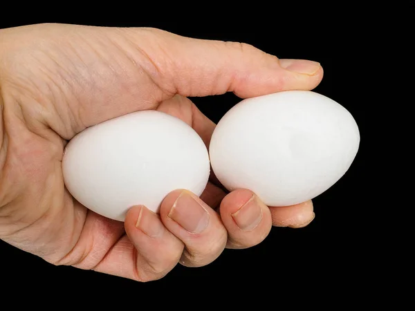 Closeup of a male hand, with a pair of white chicken eggs — Stock Photo, Image