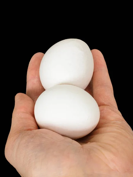 Closeup of a male hand, with a pair of white chicken eggs — Stock Photo, Image