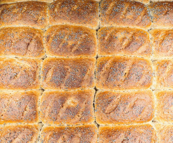 Closeup of baked rolls with poppy seeds — Stock Photo, Image