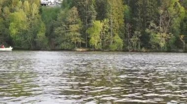 Güzel su geçiş küçük beyaz Motorlu tekne