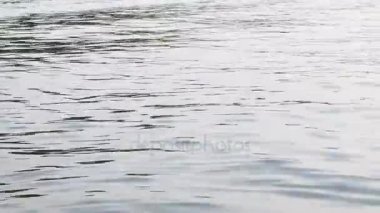 Sakin su büyük dalgalar tarafından kesintiye