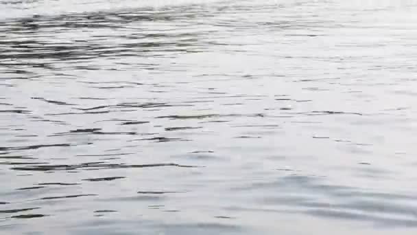 Kalm water wordt onderbroken door grote golven — Stockvideo