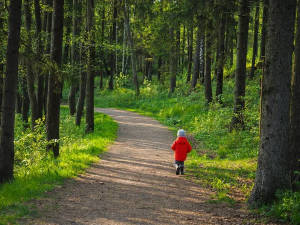 Unrecognizable little boy in a big orange jacket in forest — Stock Photo, Image