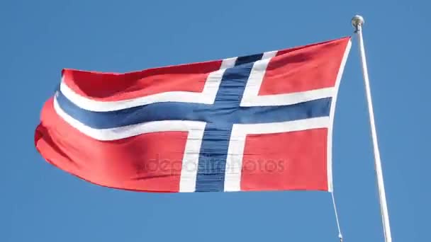 Bandera noruega ondeando hacia la izquierda en un poste — Vídeo de stock