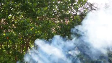 Duman Billows bırakmadan yasaktır Barbekü