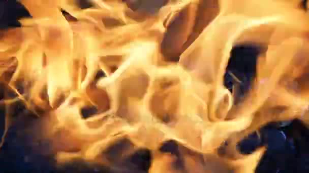 Oheň hoří na dřevěném uhlí — Stock video